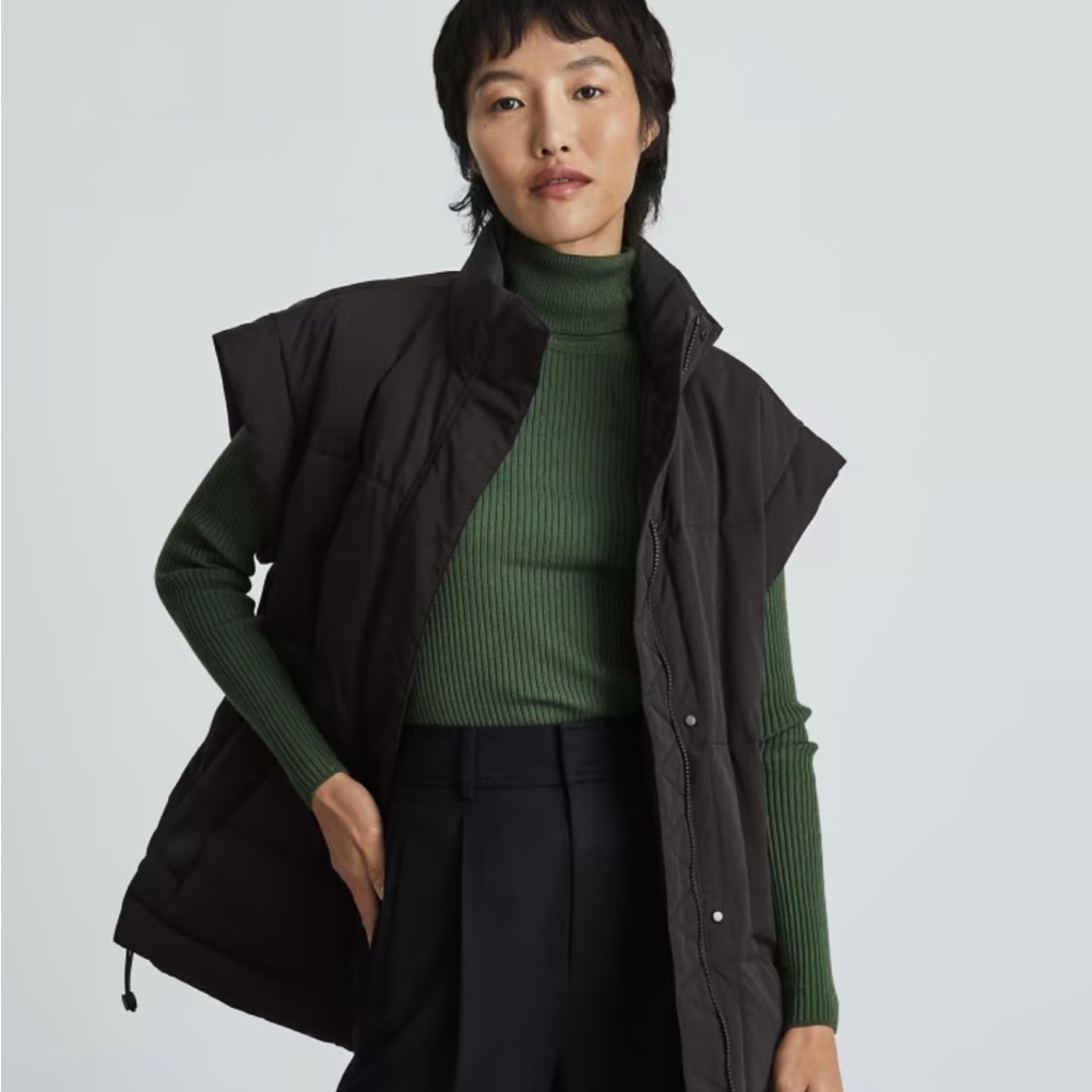 Everlane The ReNew Vest (Black)